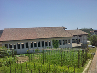 TETTO TORINO, Castelnuovo Cilento (SA)